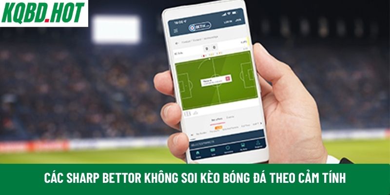 Các Sharp Bettor 